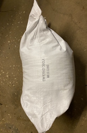 1700kg Canola Grazing Seed