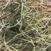 300 x Shaftal Clover & Rye 5x4 Rolls