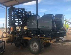 2017 6m Serafin Pasture King 