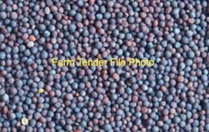 WANTED 2500mt Canola Seed