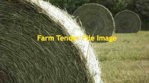 Triticale Hay Rolls