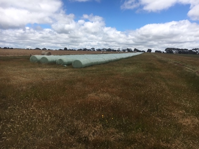 800 x Silage 500kg 5x4 Round Bales