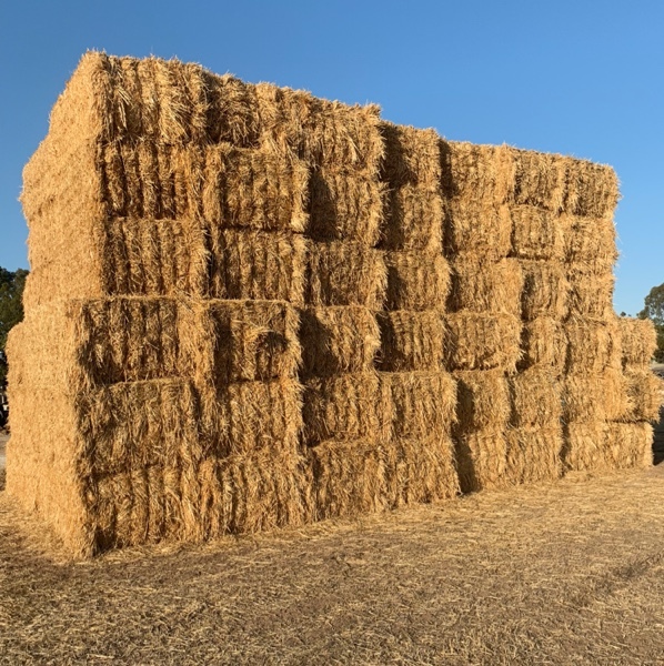 oaten hay. 