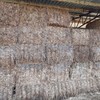 Sorghum Hay 