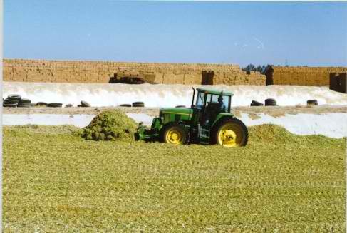 SILAGE COVERS  20M X 8M  (500um)