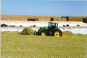 SILAGE COVERS  20M X 8M  (500um)