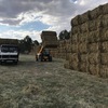 Vetch & Oaten Hay 8x4x3 Bales