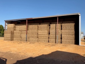300mt Vetch Hay 8x4x3 Bales 