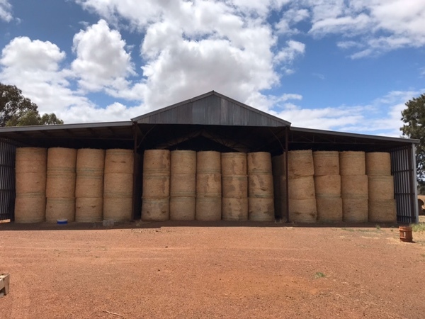 Oaten Hay Round Rolls For Sale