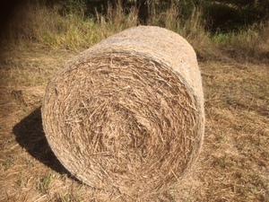 4x4 Rhodes Very large rounds from Sunshine Coast Hinterland