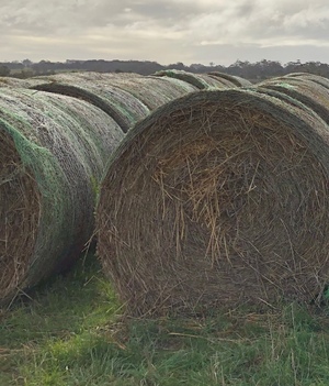 220 x Oaten Hay 5x4 Bales