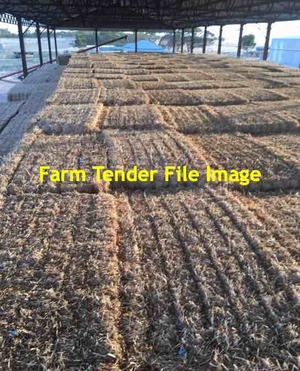 300mt Clover & Rye Grass Hay 550-600kg 8x4x3 Bales