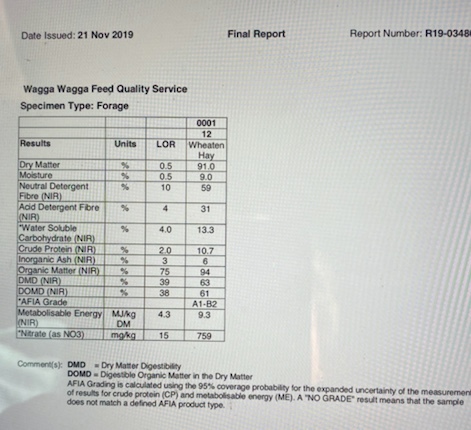 100 m/t Wheaten Hay 8x4x3 Bales Delivered Only