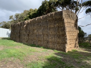 Large square rye grass bales