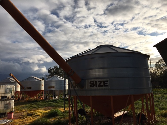 28t Sherwell Field Bin