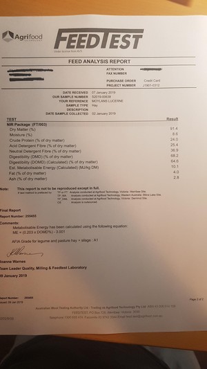 Shedded 2nd Cut Lucerne Hay