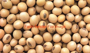 Soybean Seed Wanted to sow