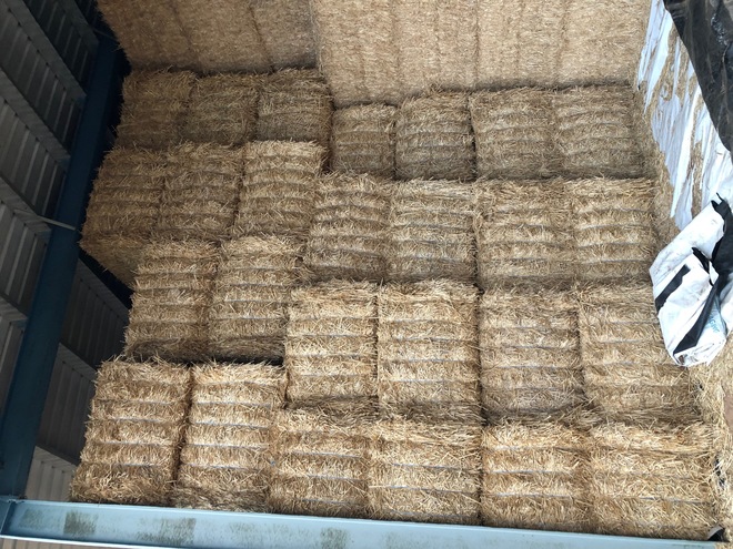 300 tn windrowed wheat straw 2019, no weather damage 8x4x3 480-500 kg bales