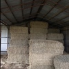 40 x Barley Straw 8x4x3 Bales Seller to Freight