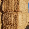 65tn wheaten straw hay. 125 bales. Baled with sieve loss material