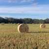 80mt Oaten Hay 5x4 Round Bales