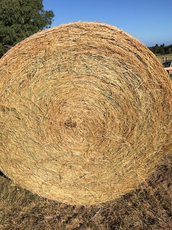 126 x Rye Grass Mix Hay 4x4 Rolls + Freight