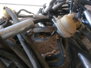 30 Westfalia Claw Bowls