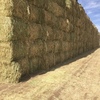 200mt Barley Vetch Hay 550-600kg 8x4x3 Bales
