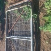 3x 7' Gates