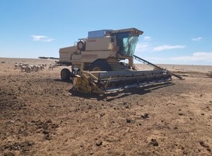 New Holland 8070 Mercedes Motor