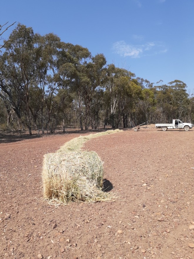 700 x Wheaten Hay 360kg 4x4-1/2 ft Rolls