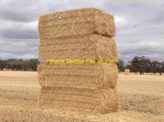 Wheaten Straw 550kg 8x4x3 Bales