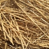 Wheat Straw 8 x 4 x 3 Large Squares