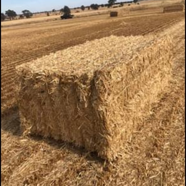 200mt Oaten Straw 500kg 8x4x3 Bales