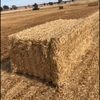 200mt Oaten Straw 500kg 8x4x3 Bales