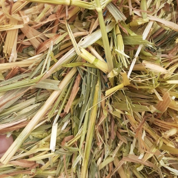 Oaten Hay 8x4x3 Bales