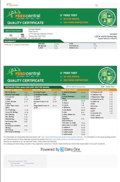 CANOLA HAY - 8x4x3  Shedded and ready for loading  41 Bales 