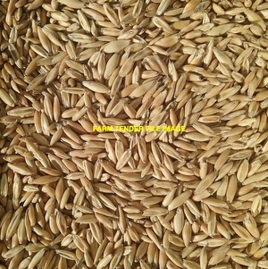 WANTED OATS - any location 'Eurabbie & Graza 50'