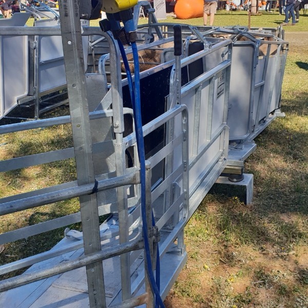 HECTON STOCK WORKER