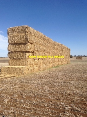 200-300t Wheaten Hay 600-700kg 8x4x3 Bales 