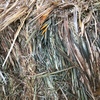 200mt Wheaten Hay 8x4x3 Bales