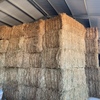 quailty 8x4x3 oaten hay 