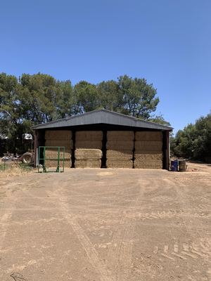 Vetch Hay 8x4x3 Bales
