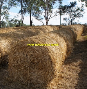 150 x Grass Hay 5x4 Bales