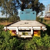 Commer Bogie Drive Tray Truck