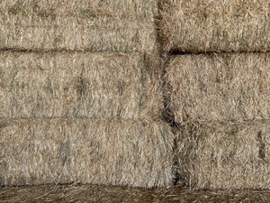 240mt Wheaten Hay 500kg 8x4x3 Bales