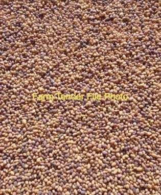 WANTED Sub Clover Seed