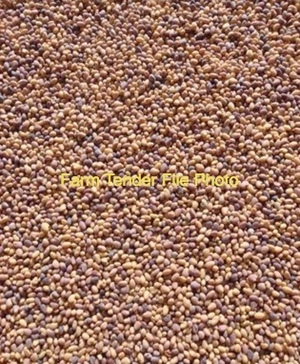 WANTED Sub Clover Seed