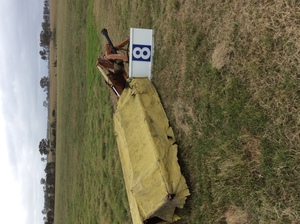 (A129) - Lely 5 Disc Mower