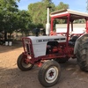 David Brown Tractor 885